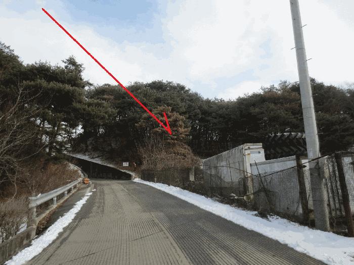 강원 춘천시 신동면 정족리 산115-5 임야 사진 3