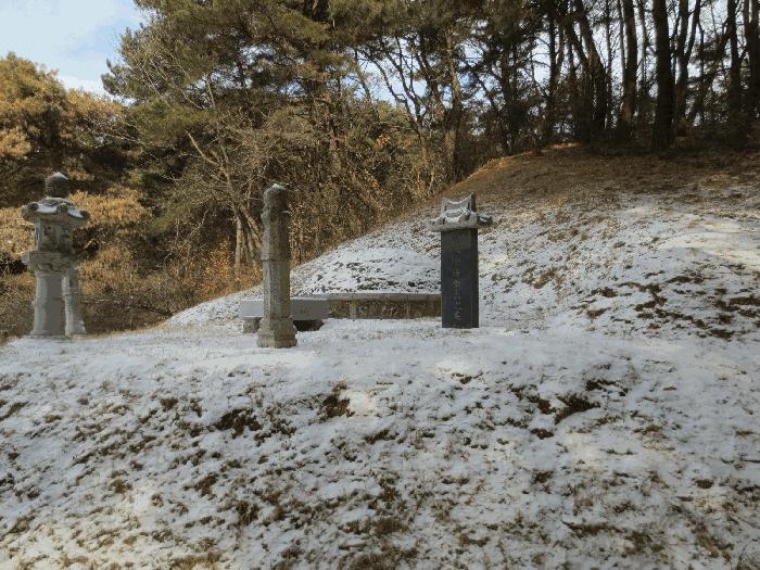 강원 춘천시 신동면 정족리 산115-5 임야 사진 4