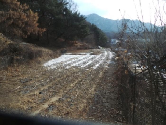법원경매 2026타경50020 사진8 | 춘천시 신동면 임야 경매