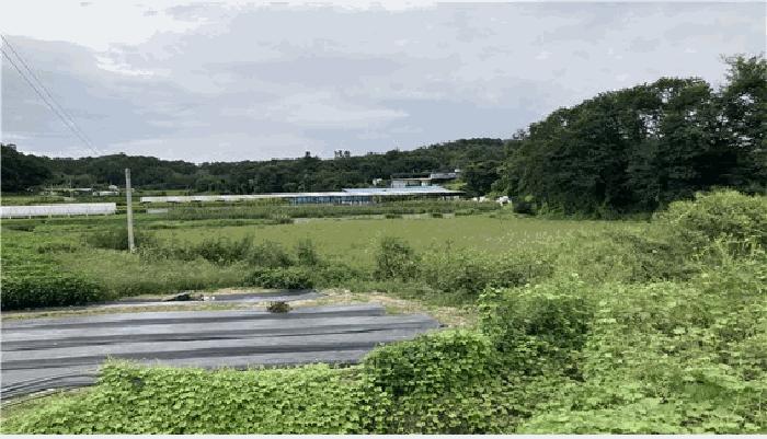 강원특별자치도 원주시 호저면 대덕리 997-1 법원경매 물건 대표사진