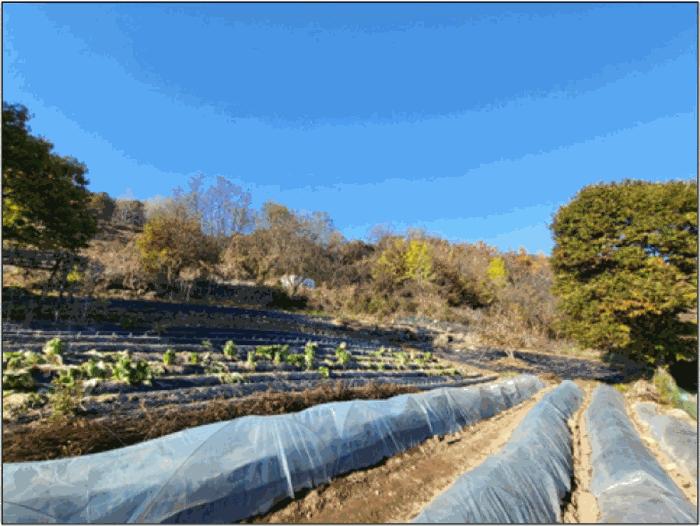 법원경매 2025타경20932 사진2 | 원주시 흥업면 흥업리 1290-3 전 경매