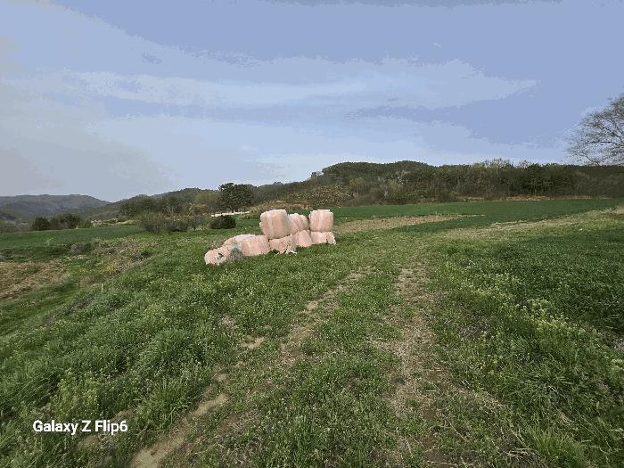 충청남도 논산시 양촌면 인천리 10 법원경매 물건 대표사진