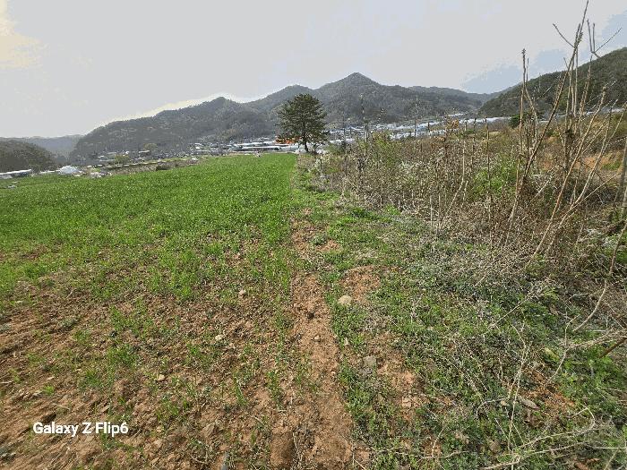 2025타경401 법원경매 사진6 | 충남 논산시 전답 경매