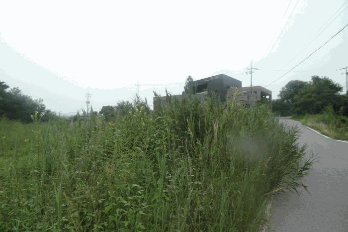 2025타경460 법원경매 사진2 | 충남 논산시 임야 경매