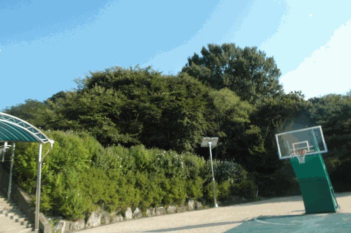충청남도 계룡시 엄사면 엄사리 232-177 법원경매 물건 대표사진