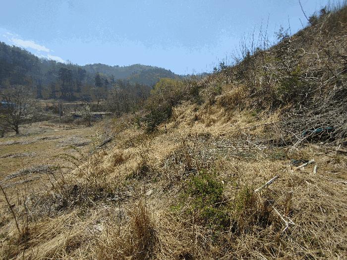 충청남도 부여군 부여읍 송곡리 산53 법원경매 물건 대표사진