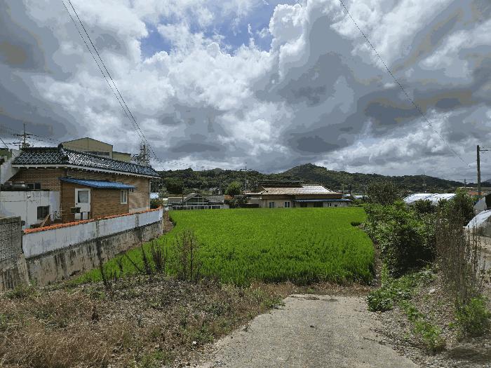 충남 부여군 남면 마정리 872 답 사진 2