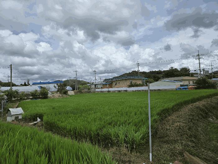 충남 부여군 남면 마정리 872 답 사진 4