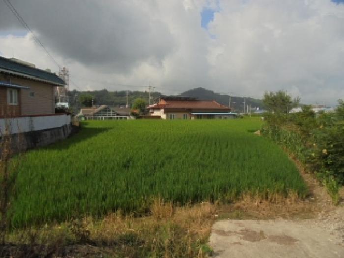 충남 부여군 남면 마정리 872 답 사진 5