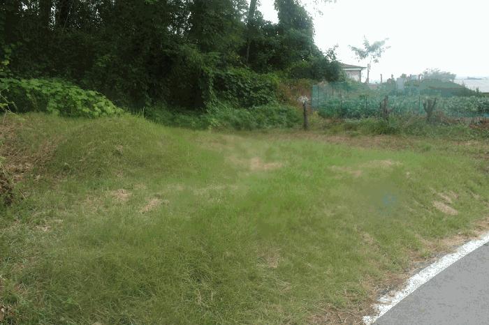충남 논산시 상월면 산성리 323-6 대지 사진 2