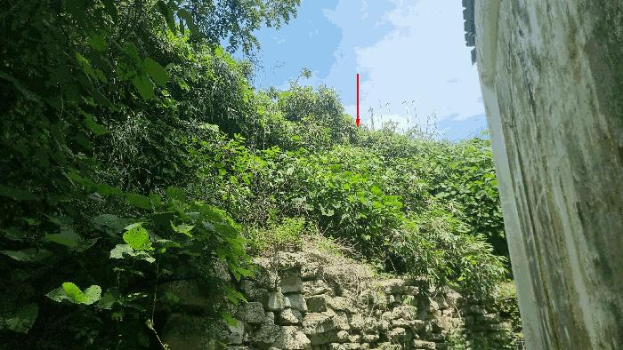 법원경매 2025타경396 사진5 | 포항시 남구 호미곶면 강사리 669-3 공장 경매