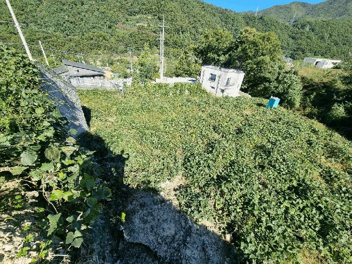 법원경매 2025타경9346 사진2 | 칠곡군 석적읍 성곡리 289 대지,임야,전답 경매