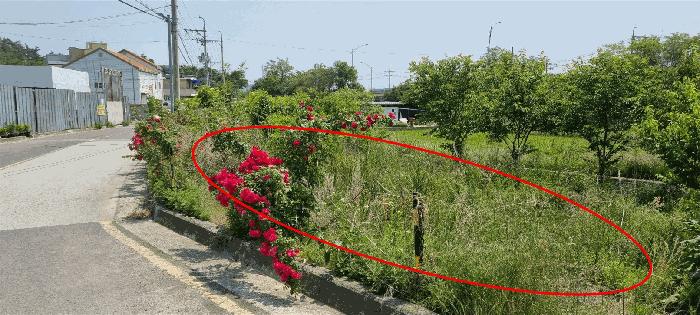 법원경매 2024타경4143 사진2 | 기장군 장안읍 명례리 66-3 부산 기장군 답 경매