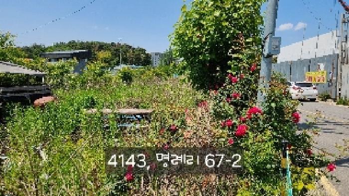 법원경매 2024타경4143 사진7 | 기장군 장안읍 명례리 66-3 부산 기장군 답 경매