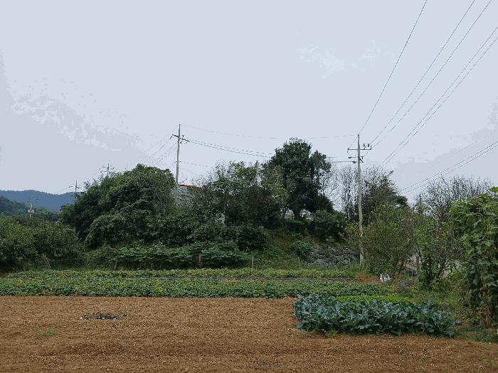 전남 순천시 낙안면 신기리 415-5 창고 경매 물건 사진