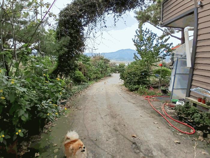 전남 순천시 낙안면 신기리 415-5 창고 사진 2