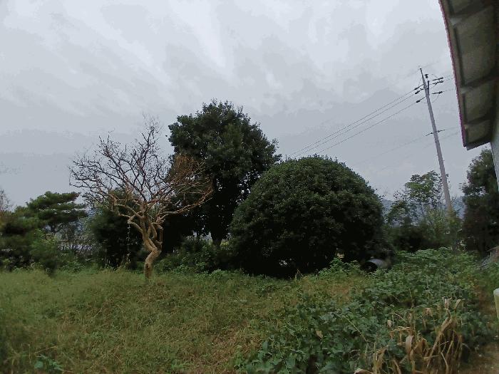 전남 순천시 낙안면 신기리 415-5 창고 사진 3