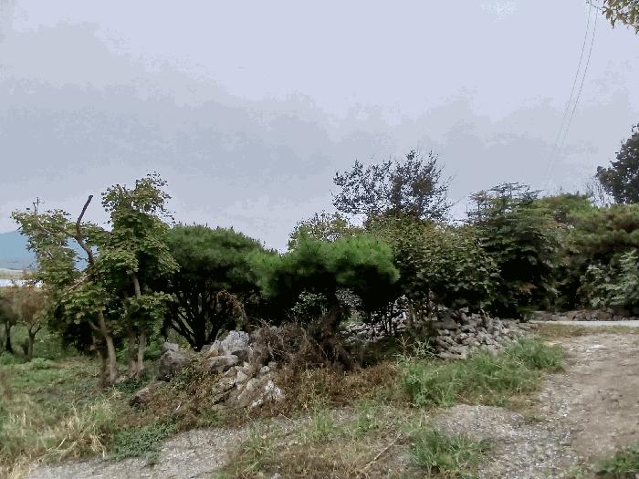 전남 순천시 낙안면 신기리 415-5 창고 사진 4