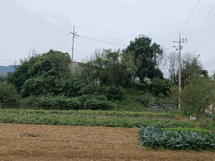 전남 순천시 낙안면 신기리 415-5 창고 사진 5