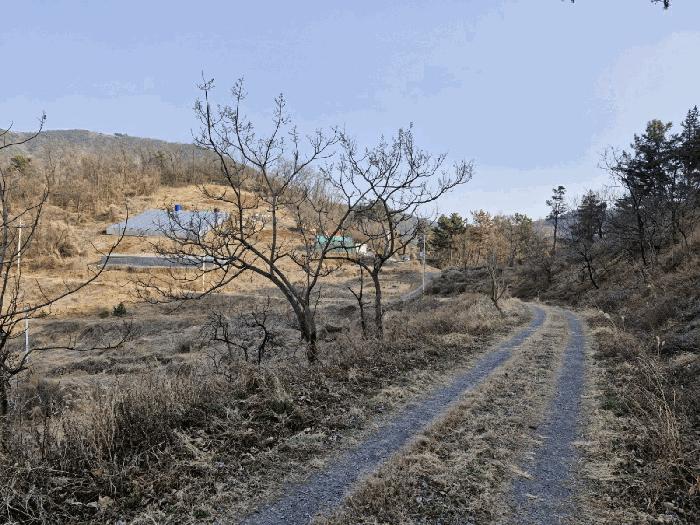 2025타경292 법원경매 사진2 | 경남 창녕군 임야 경매
