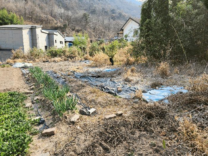 2025타경322 법원경매 사진7 | 경남 밀양시 대지 경매