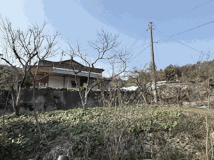 전남 장흥군 장동면 북교리 292 대지 사진 6