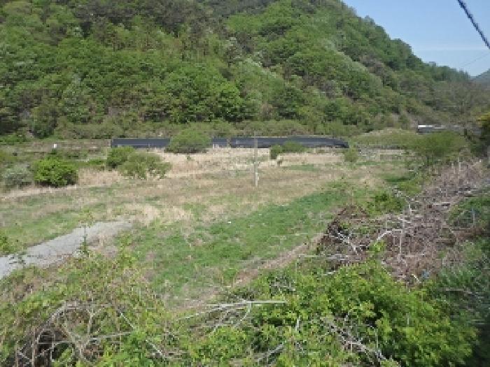 2025타경636 법원경매 사진7 | 경남 밀양시 답 경매