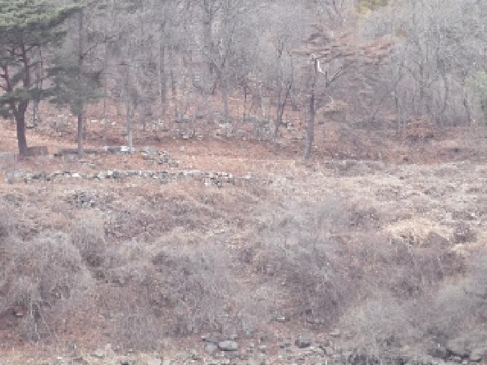 경남 창녕군 창녕읍 옥천리 922-1 전 사진 6