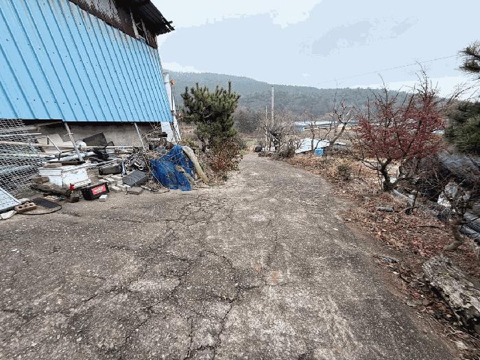 2025타경5374 법원경매 사진13 | 전남 장흥군 임야 경매