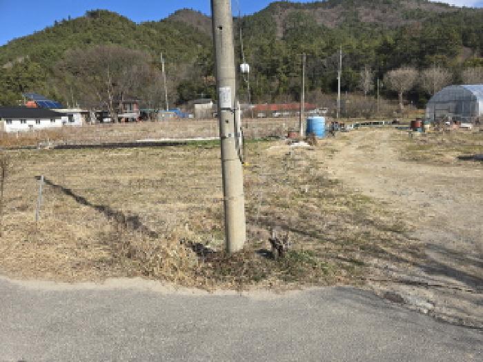 2025타경5374 법원경매 사진14 | 전남 장흥군 임야 경매