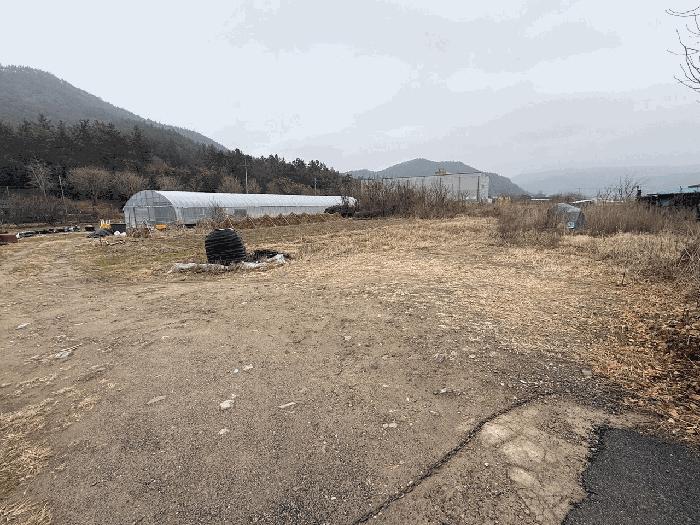 2025타경5374 법원경매 사진2 | 전남 장흥군 임야 경매