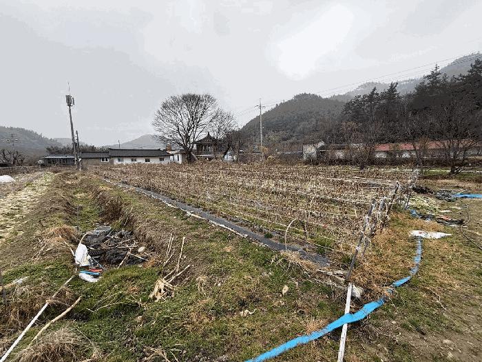 2025타경5374 법원경매 사진3 | 전남 장흥군 임야 경매