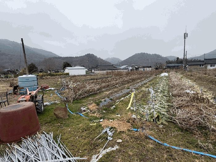 2025타경5374 법원경매 사진4 | 전남 장흥군 임야 경매