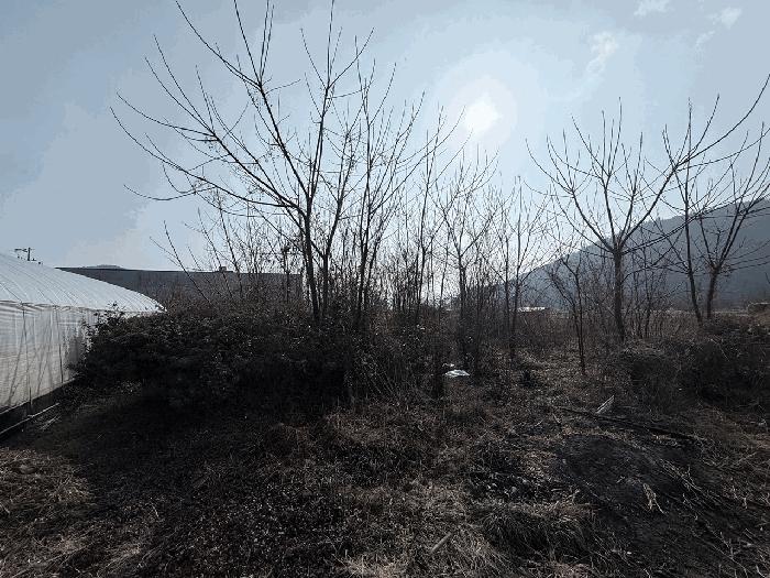 2025타경5374 법원경매 사진6 | 전남 장흥군 임야 경매