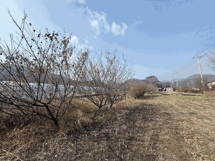 2025타경5374 법원경매 사진7 | 전남 장흥군 임야 경매