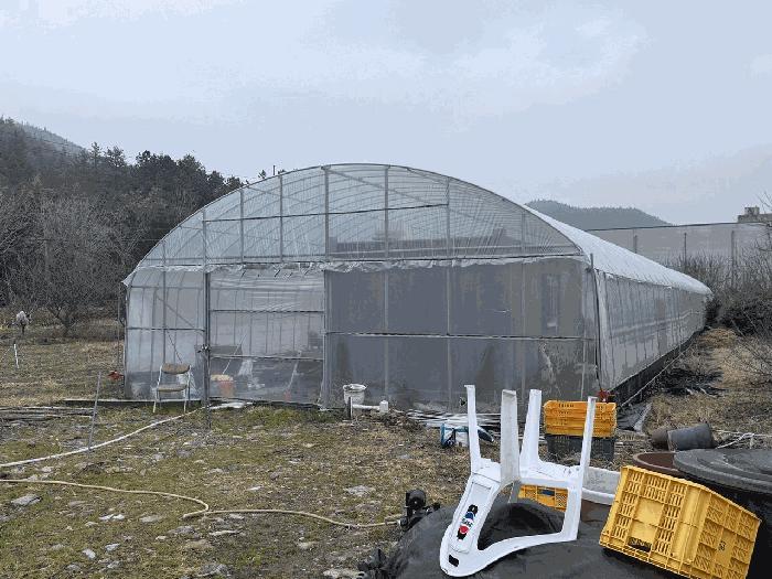 2025타경5374 법원경매 사진9 | 전남 장흥군 임야 경매