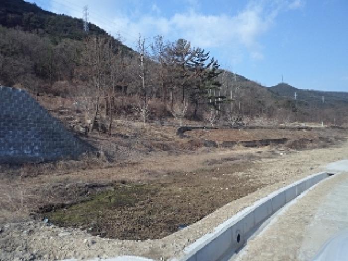 법원경매 2025타경10246 사진12 | 창녕군 고암면 계상리 107 경남 창녕군 답 경매
