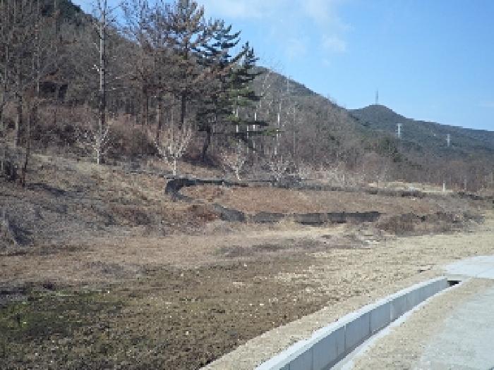 법원경매 2025타경10246 사진13 | 창녕군 고암면 계상리 107 경남 창녕군 답 경매