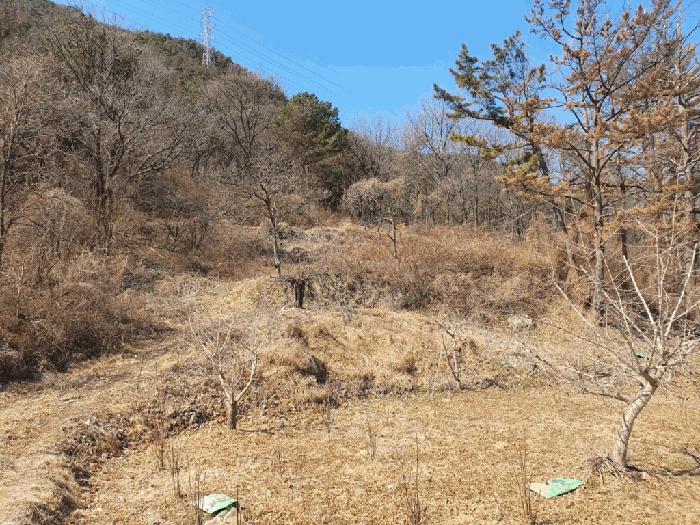 법원경매 2025타경10246 사진4 | 창녕군 고암면 계상리 107 경남 창녕군 답 경매