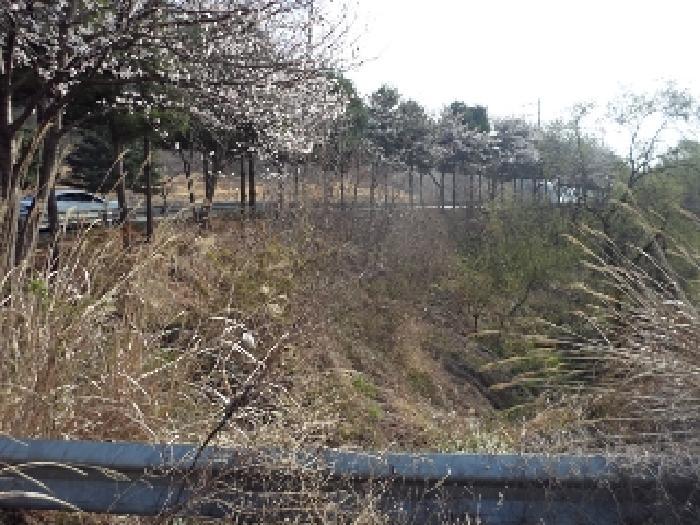 경남 밀양시 초동면 오방리 619-1 전 사진 3