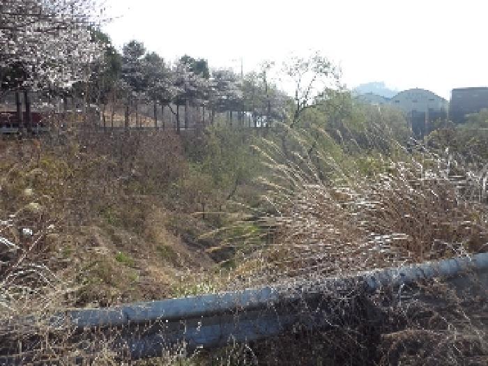 경남 밀양시 초동면 오방리 619-1 전 사진 4