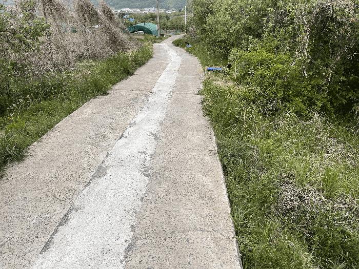 경남 밀양시 산내면 송백리 370-3 답 경매 물건 사진