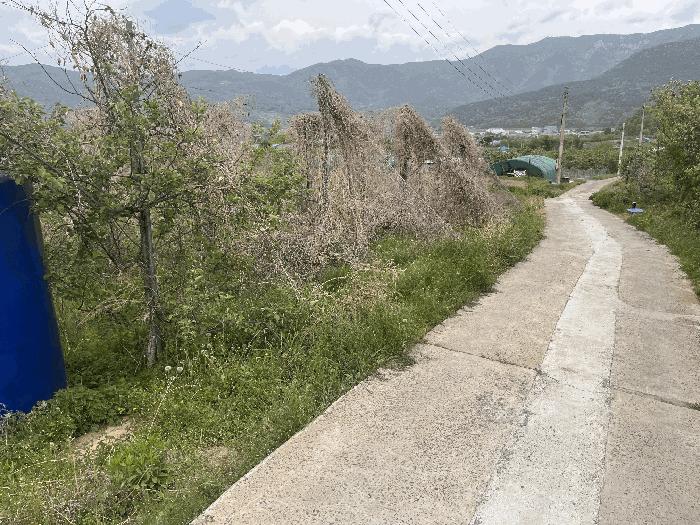 경남 밀양시 산내면 송백리 370-3 답 사진 3