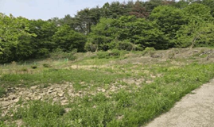 2025타경10313 법원경매 사진2 | 경남 밀양시 전 경매