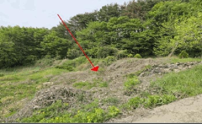 2025타경10313 법원경매 사진3 | 경남 밀양시 전 경매