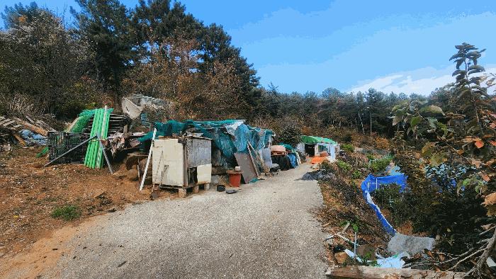 전남 여수시 돌산읍 평사리 산377-1 임야 사진 2