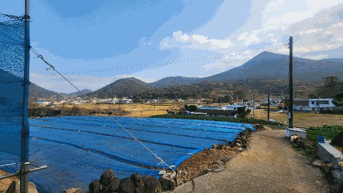 전남 여수시 돌산읍 평사리 산377-1 임야 사진 4