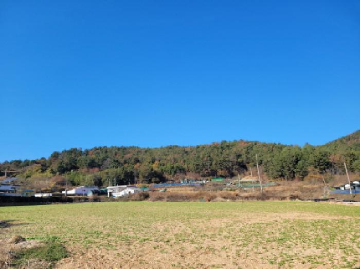전남 여수시 돌산읍 평사리 산377-1 임야 사진 5