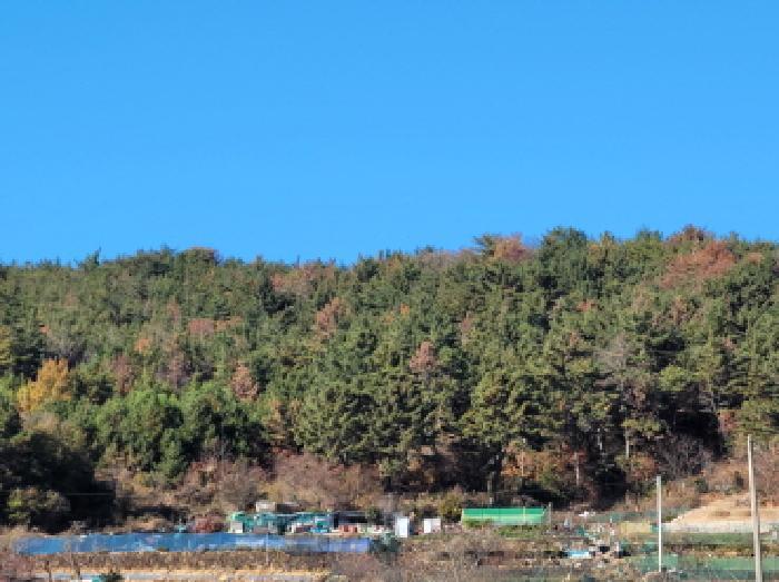 2025타경52319 법원경매 사진7 | 전남 여수시 임야 경매
