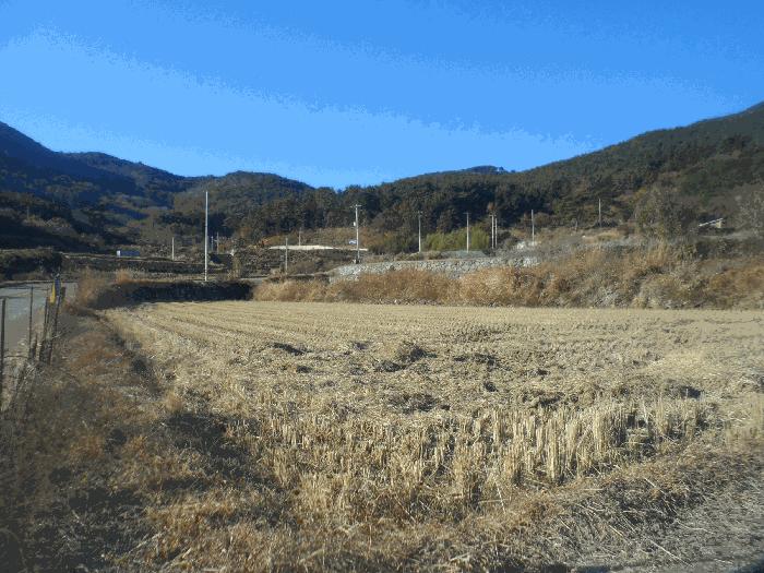 2025타경22246 법원경매 사진2 | 경남 거제시 답 경매